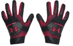 Under Armour Clean Up 21 Adult Baseball Batting Gloves 1365461