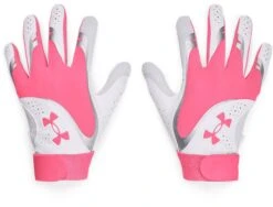 Under Armour Radar Girl's Fastpitch Softball Batting Gloves 1355540 7 Under Armour Radar Girl's Fastpitch Softball Batting Gloves 1355540 -Rawlings Mizu Store under armour radar girl s fastpitch softball batting gloves 1355540 16