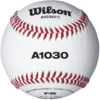 Wilson Champion Series WTA1030BFS Game And Practice Baseball -Rawlings Mizu Store wilson champion series wta1030bfs game and practice baseball 5